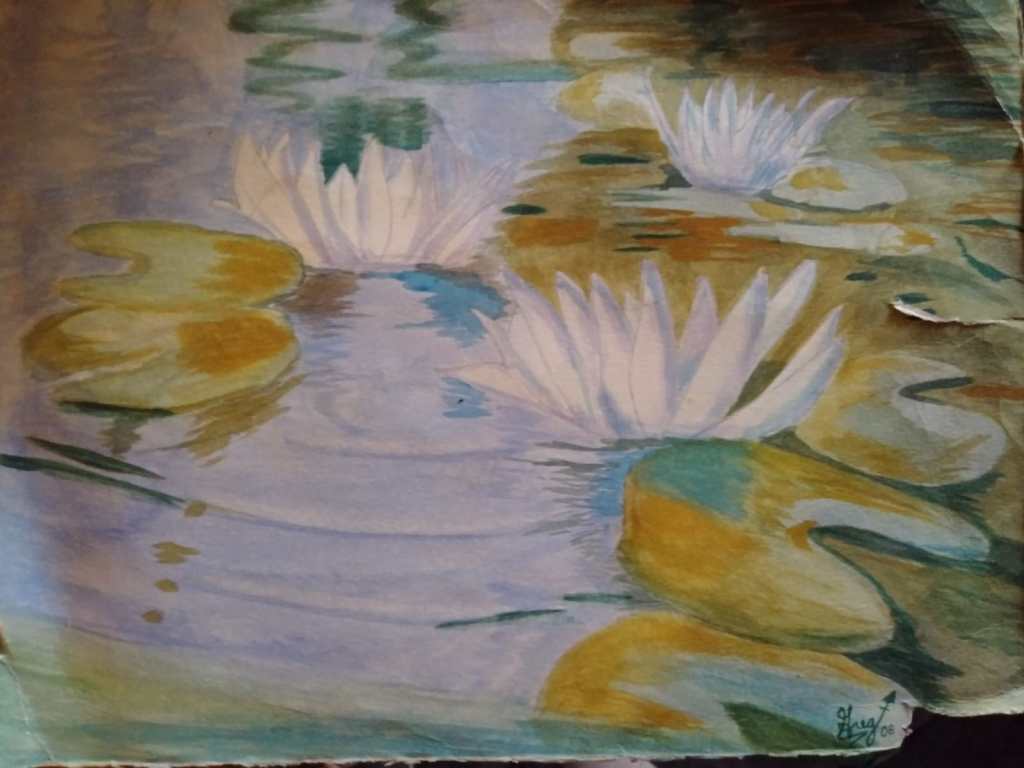 3 Water Lillies in a pond